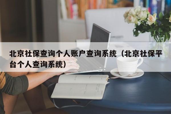 北京社保查询个人账户查询系统（北京社保平台个人查询系统）
