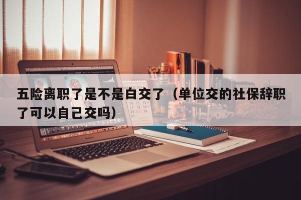 五险离职了是不是白交了（单位交的社保辞职了可以自己交吗）