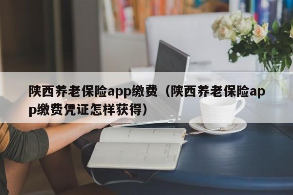 陕西养老保险app缴费（陕西养老保险app缴费凭证怎样获得）