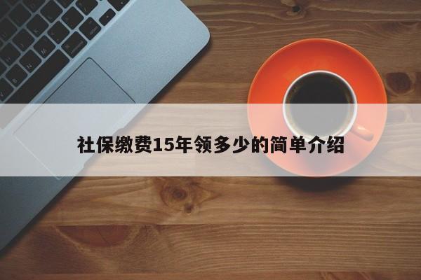 社保缴费15年领多少的简单介绍