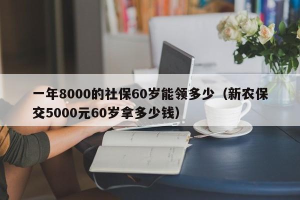 一年8000的社保60岁能领多少（新农保交5000元60岁拿多少钱）
