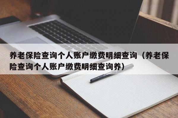 养老保险查询个人账户缴费明细查询（养老保险查询个人账户缴费明细查询养）