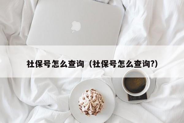 社保号怎么查询（社保号怎么查询?）