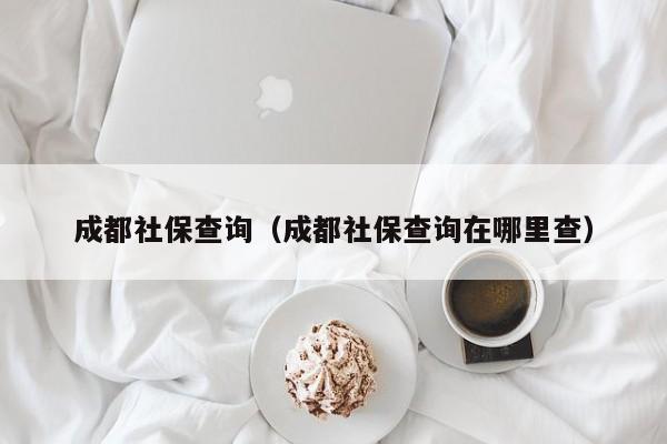 成都社保查询（成都社保查询在哪里查）