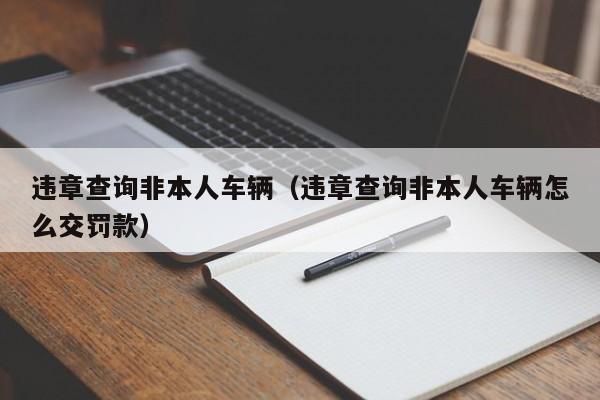 违章查询非本人车辆（违章查询非本人车辆怎么交罚款）