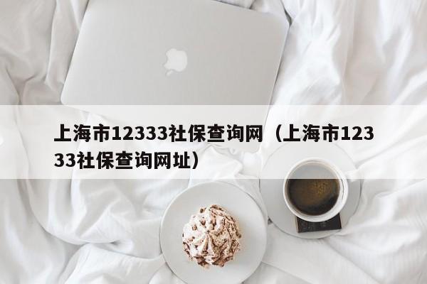 上海市12333社保查询网（上海市12333社保查询网址）