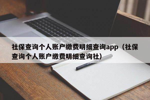 社保查询个人账户缴费明细查询app（社保查询个人账户缴费明细查询社）