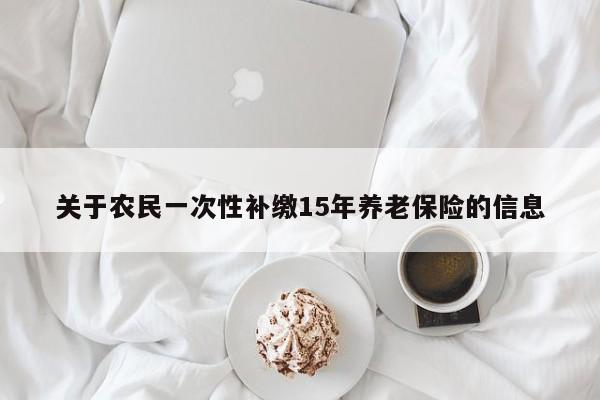 关于农民一次性补缴15年养老保险的信息