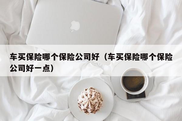 车买保险哪个保险公司好（车买保险哪个保险公司好一点）