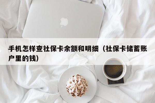 手机怎样查社保卡余额和明细（社保卡储蓄账户里的钱）