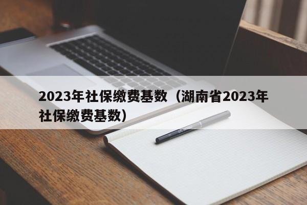 2023年社保缴费基数（湖南省2023年社保缴费基数）