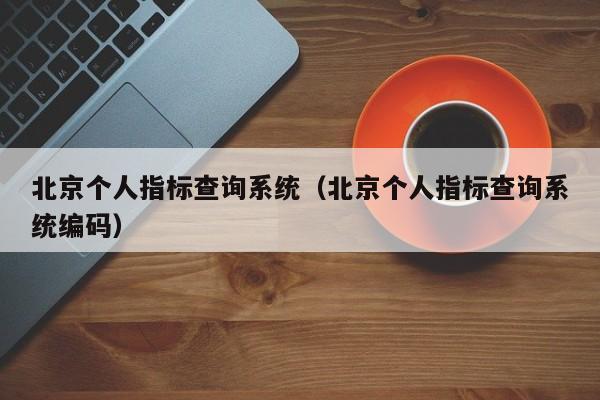 北京个人指标查询系统（北京个人指标查询系统编码）