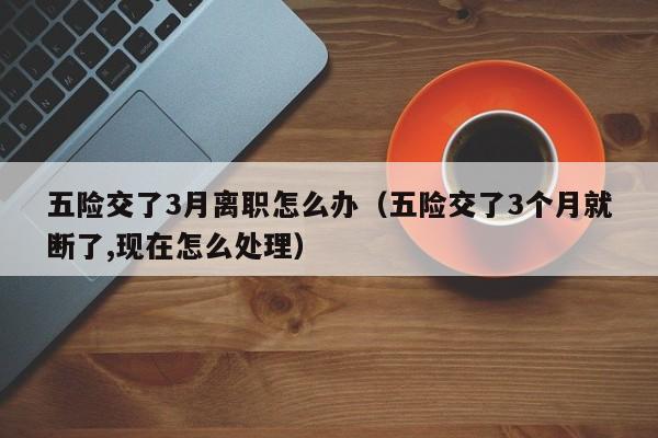五险交了3月离职怎么办（五险交了3个月就断了,现在怎么处理）